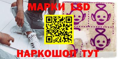 прущие грибы Кингисепп